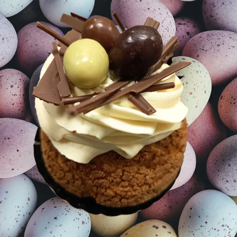 Le plaisir sucré, pâtissier à Lyon 9, ganache