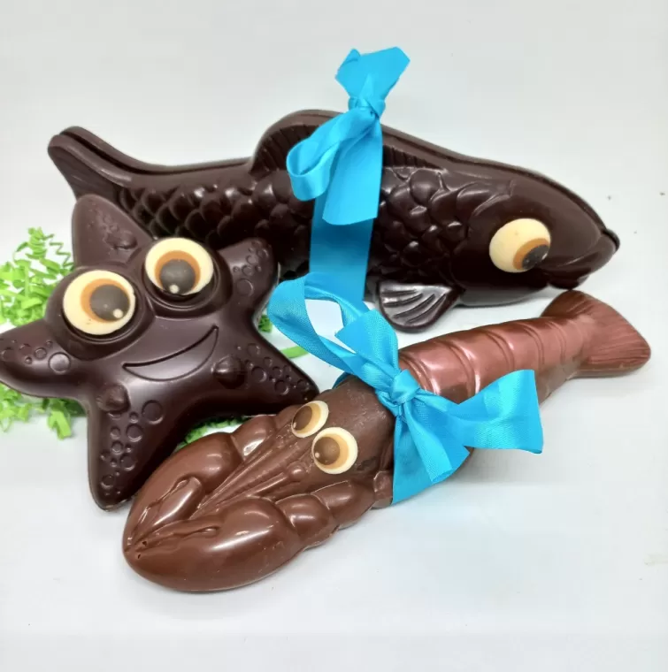 moulages chocolat noir ou lait pur origine LE PLAISIR SUCRE LYON 5